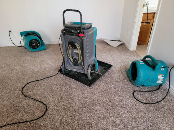 Best Water damage restoration near me  in Minden, LA