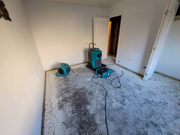 Water damage restoration mold remediation in LA