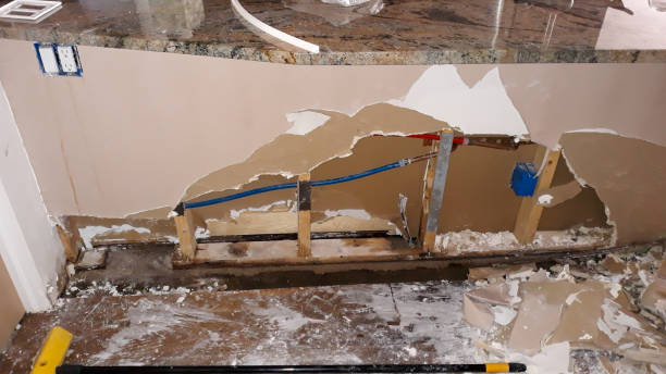 Best Local water damage restoration  in Minden, LA