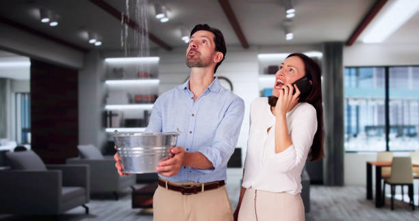 Best Flood damage cleanup  in Minden, LA